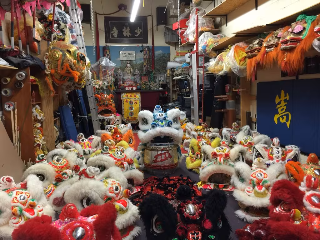 A room full of lion heads in many colours