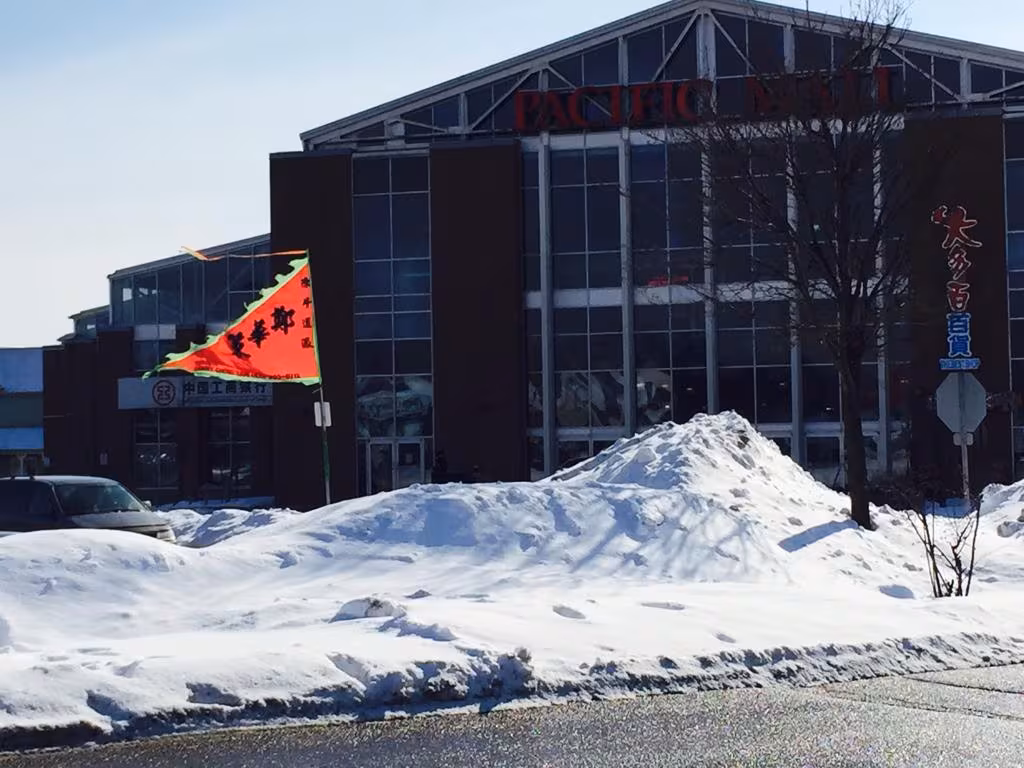 Pacific Mall in winter with a CLK Lion Dance flag outside